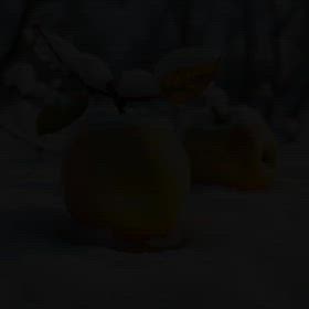 『雪解けの向こう側で』テーマソングの画像