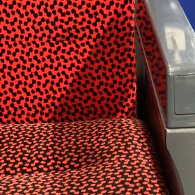 偽 ニセ アベソウリの画像