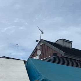 Ｆ15も〜の画像