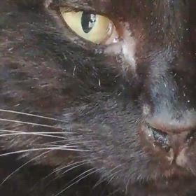 気になる子の画像