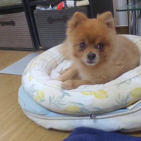 2024年9月4日水曜日の画像