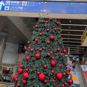 少し元気になってきたかな？の画像