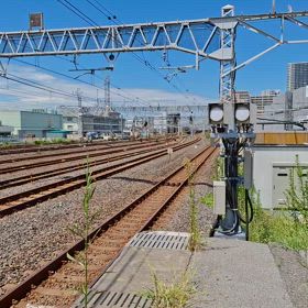 2024/08/20の画像