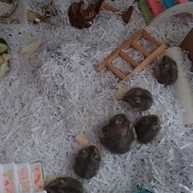 4月18日(金)の画像