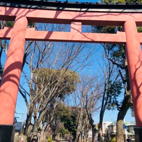 心が落ち着く　神社参拝の画像