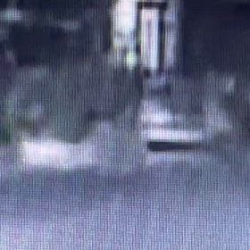 私が帰ってきたら、ポストに取り行くフリして観に来た！の画像