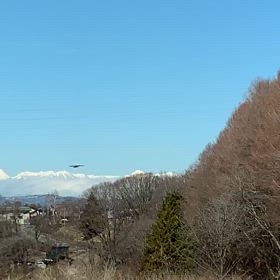 チョウゲンボウのホバーリングをやっと見た！の画像