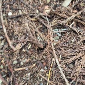 山ビルの魅力（？）の画像