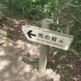 2025.6.21 福井県 青葉山にての画像