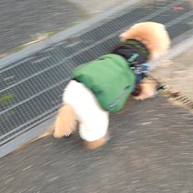 おひさしぶりぶりよー！の画像