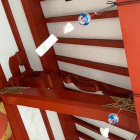 最後の肉体改造の画像