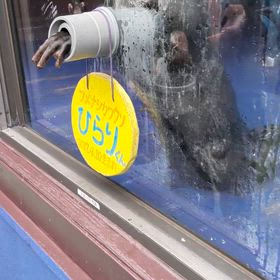 伊勢へ④の画像