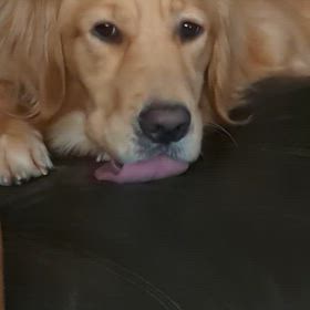 どんな味？の画像