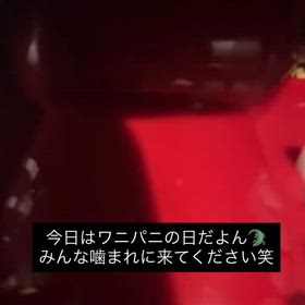 ワニワニパニックの画像