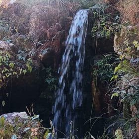 あれもっこれもっ『どんだけ！？神さま頼み』の画像