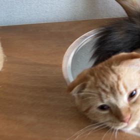 もうこの日→続報！の画像