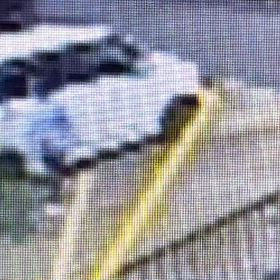 ジーっと居ないか確認してます。Σ('◉⌓◉’)の画像