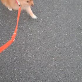 楽しむのが一番♪の画像
