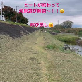 河原遊びの様子！の画像