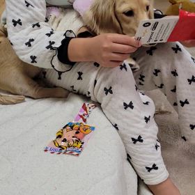 愛犬パピーちゃんにもサンタさん*↟⍋↟*の画像