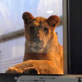 イトちゃんの画像