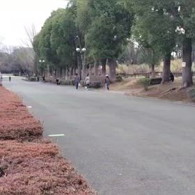 2/17 リレー選考会②の画像