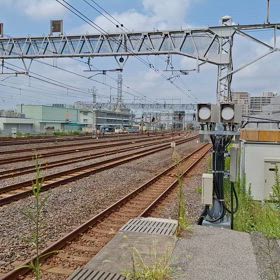 231の画像