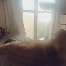 ひとこと日記の画像