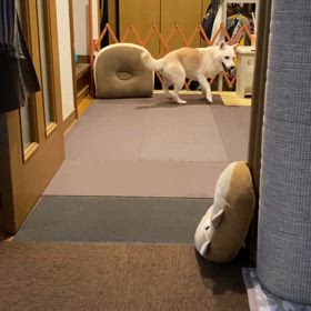 真夜中の大運動会の画像