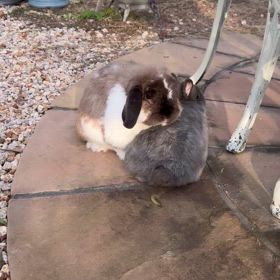 男の子同士の画像