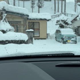 いつもの冬になりました。の画像