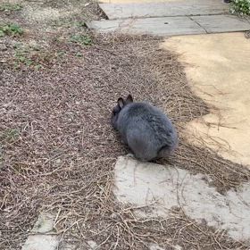 気持ちいい月曜日の画像