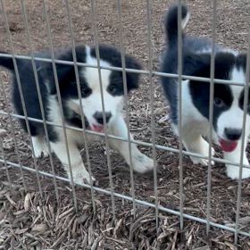 母と子供の画像