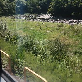 JR高山本線プチ旅行3の画像