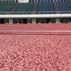 12月10日(火)  午後振休で万博への画像