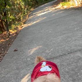 花粉にもマケズの画像