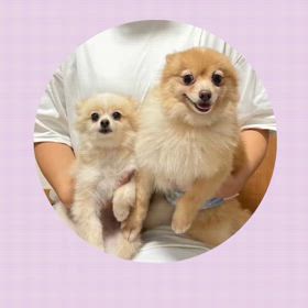 楽希と莉埜、スウェーデン式マッサージとメディセルの画像