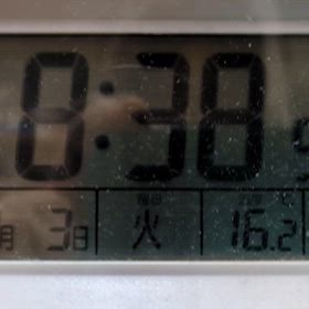 2/3 FM Bettyの画像