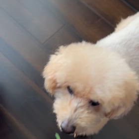 夏バテ？の画像