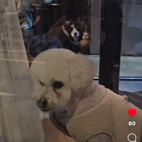^ ^MATICの画像