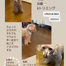 いよいよ、、、の画像