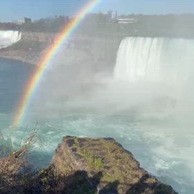 おすそ分けの画像