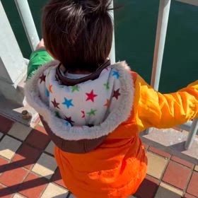 クラゲを見つけたよ！の画像