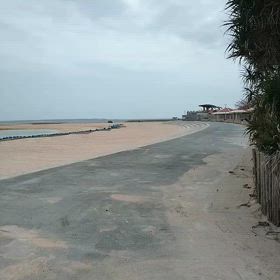 その気になれば泳げるの画像