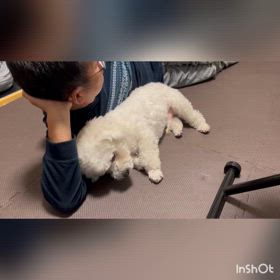 ガックリ(*_*)の画像