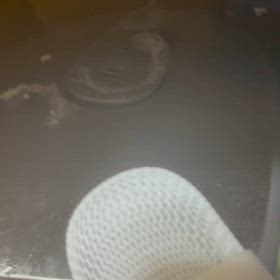 またまた咀嚼音を撮ってみた！の画像