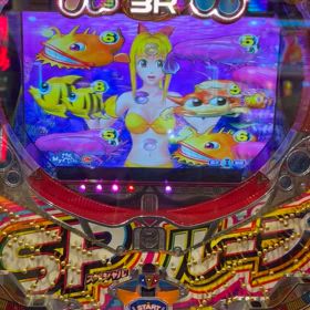 海で運試しの画像