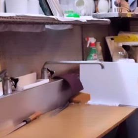 新子育ってきていますの画像