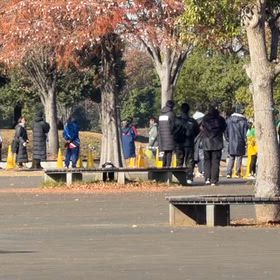 県駅伝(タイムトライアルの部)➅の画像