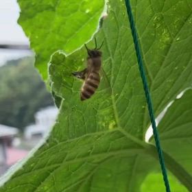 何してるのだろう？の画像